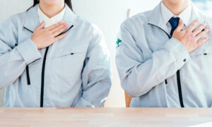 33100266_m2 33100266_m2